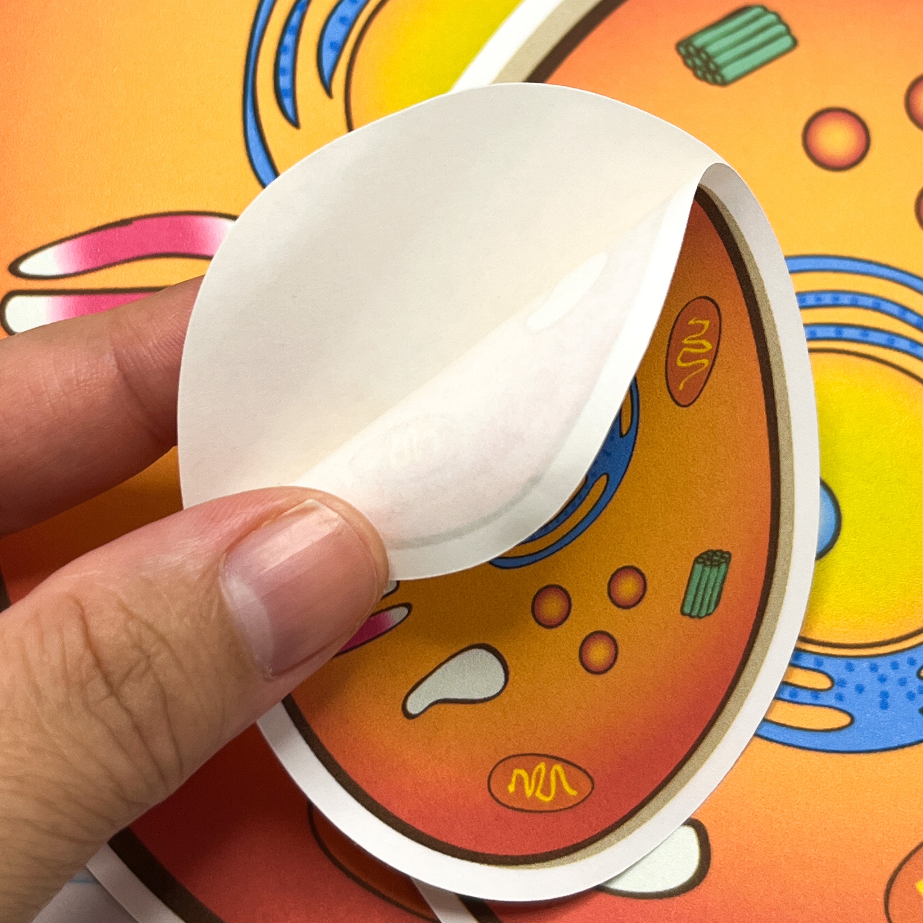 Animal Cell Stickers – Pretty Homeschool