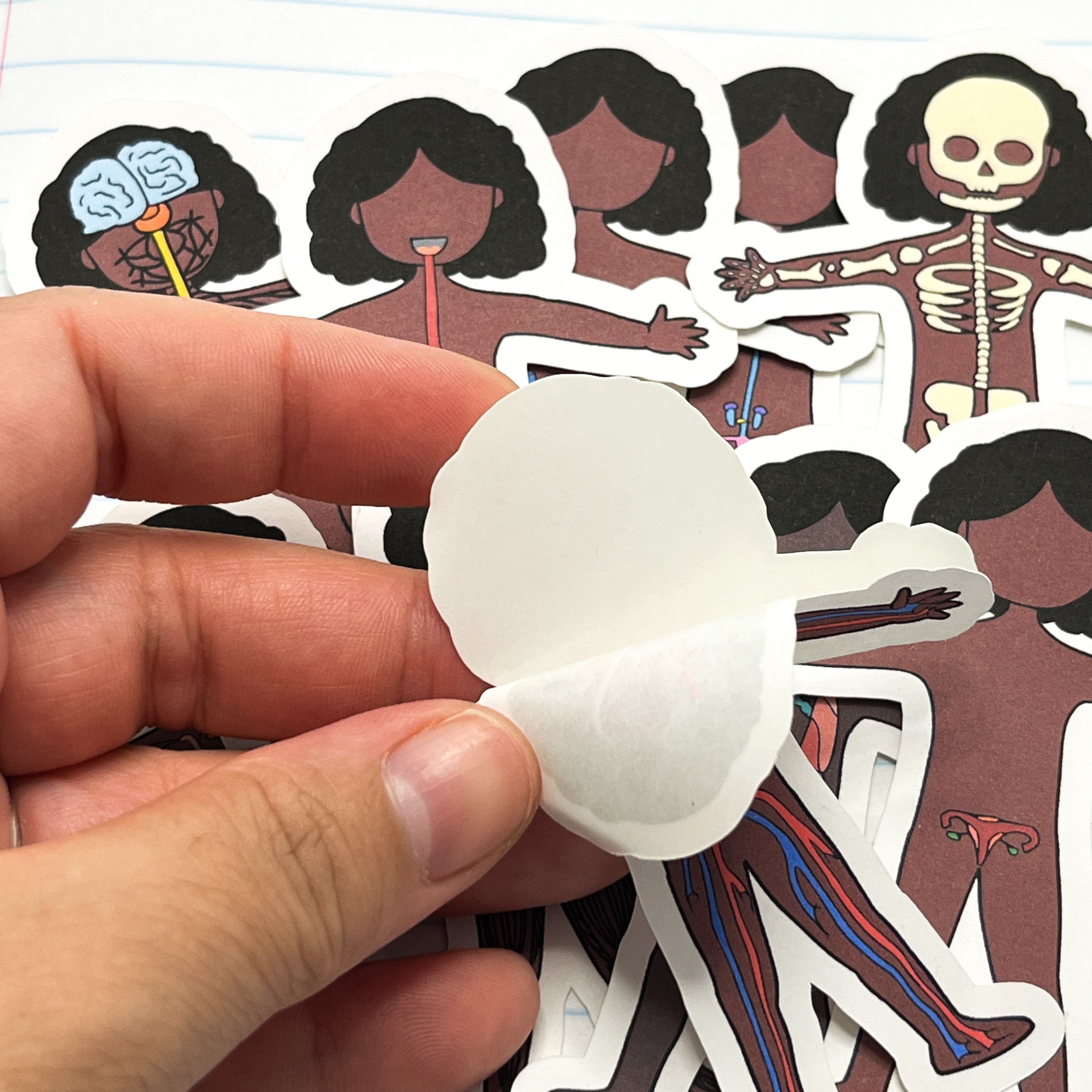 Sticker Humen Stickers: Human Body Systems – Pretty Homeschool