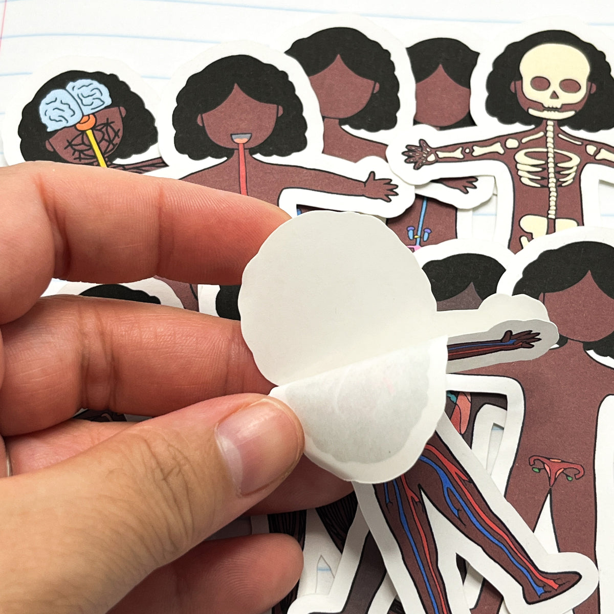 Stickers: Human Body Systems – Pretty Homeschool
