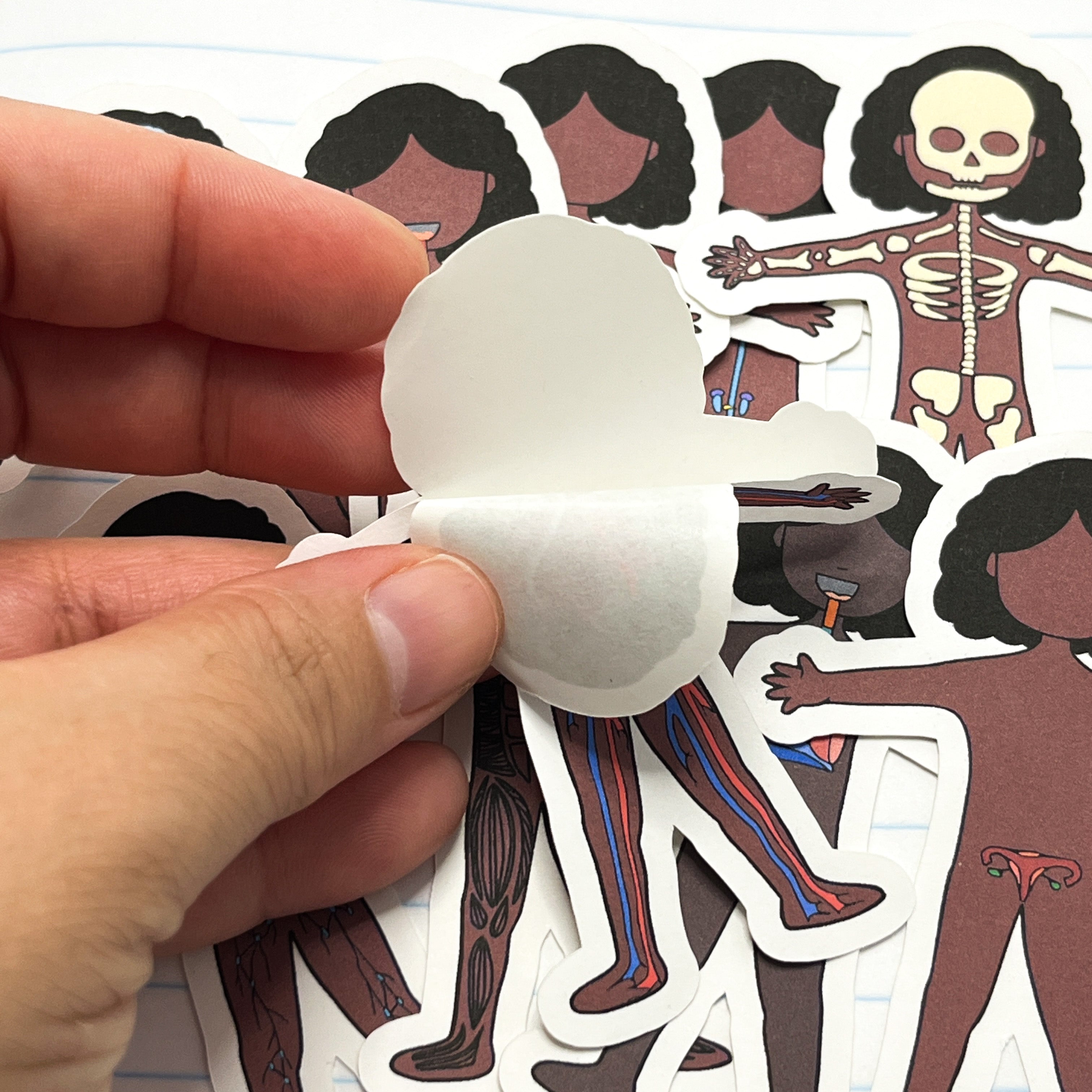 Stickers: Sistemas del cuerpo humano