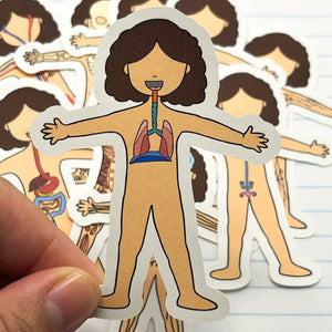 Stickers: Sistemas del cuerpo humano