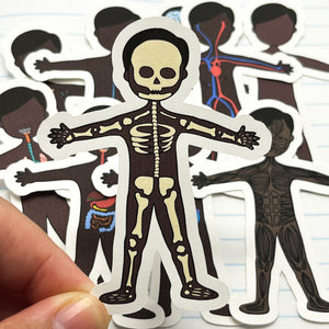 Stickers: Sistemas del cuerpo humano