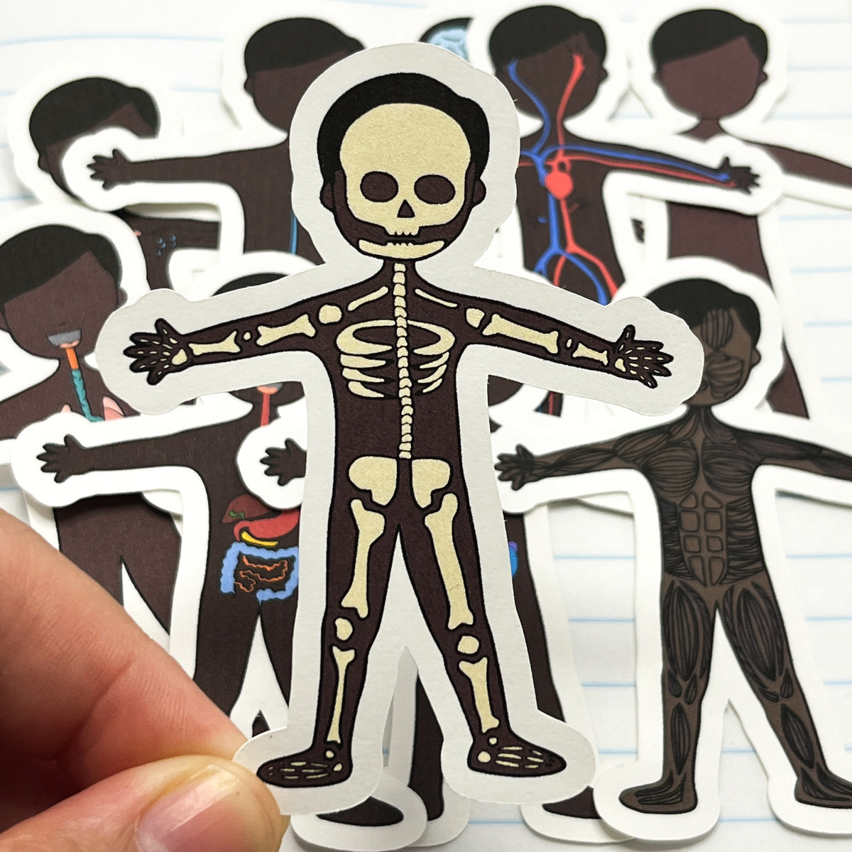 Stickers: Human Body Systems – Pretty Homeschool