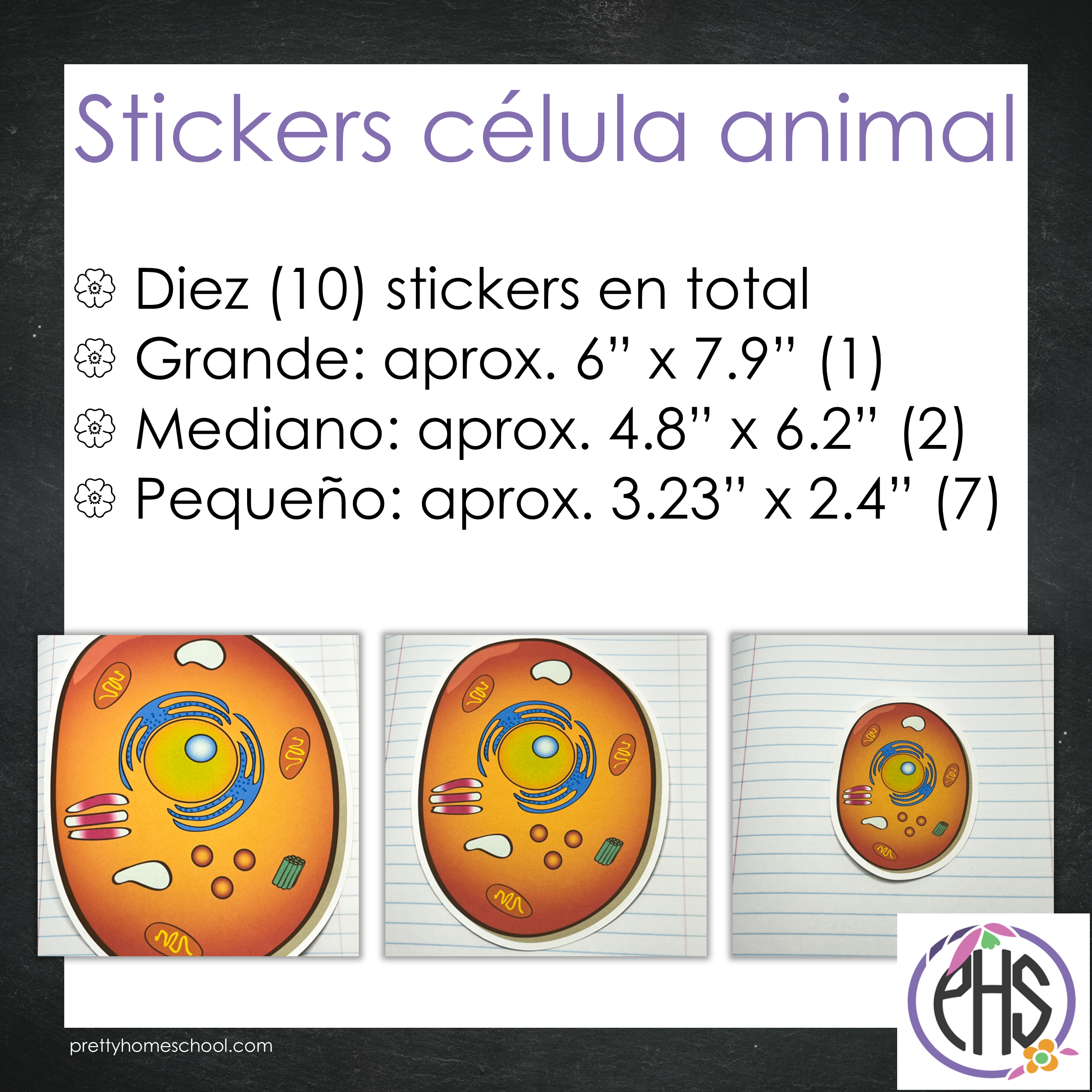 Stickers célula animal / Color