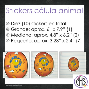 Stickers célula animal / Color