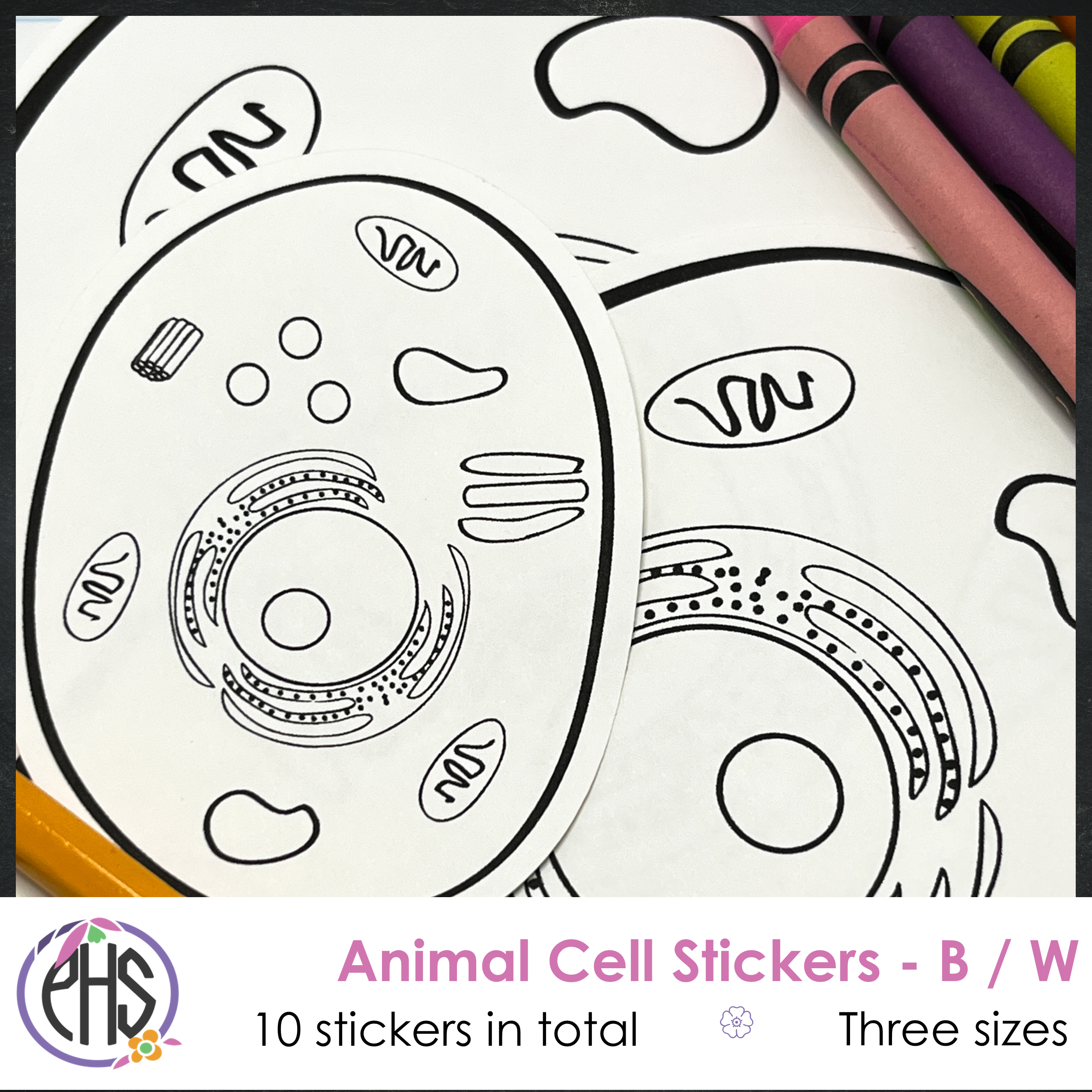 Black and White Animal Cell Stickers