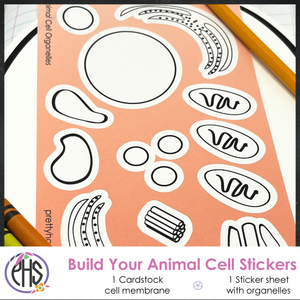 Build Your Animal Cell - Homeschool Biology Activity