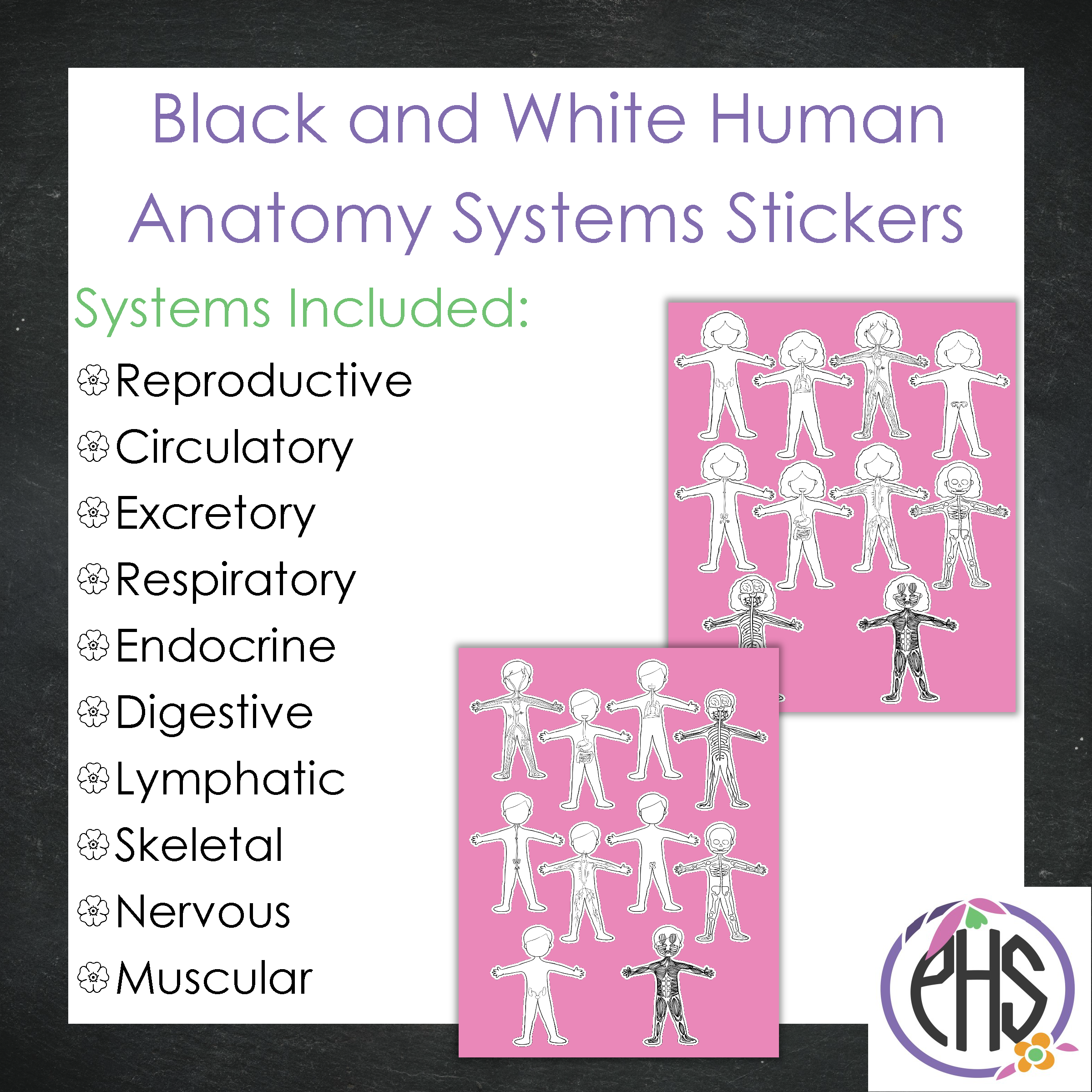 Black and White Human Anatomy Stickers