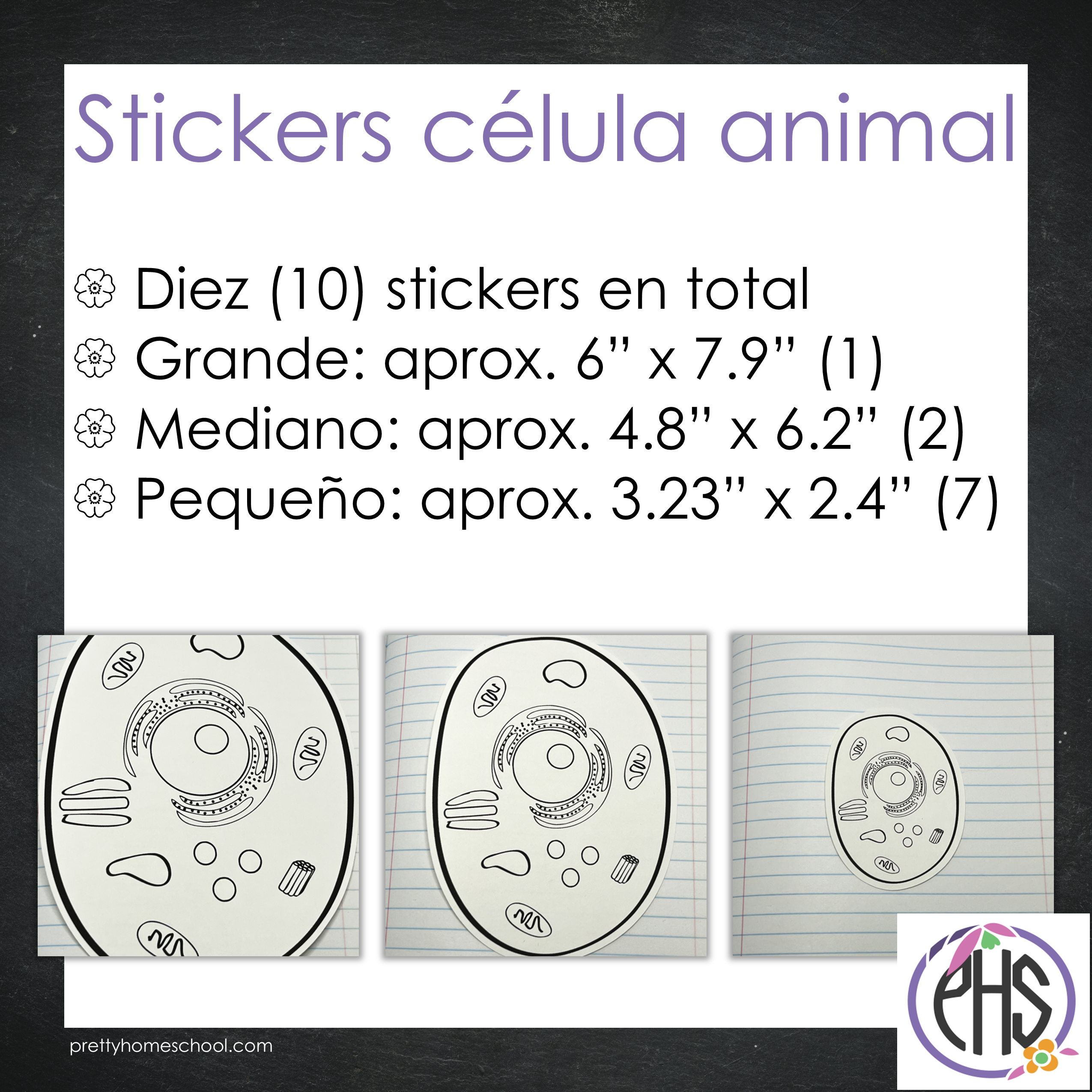 Stickers célula animal / Blanco y negro