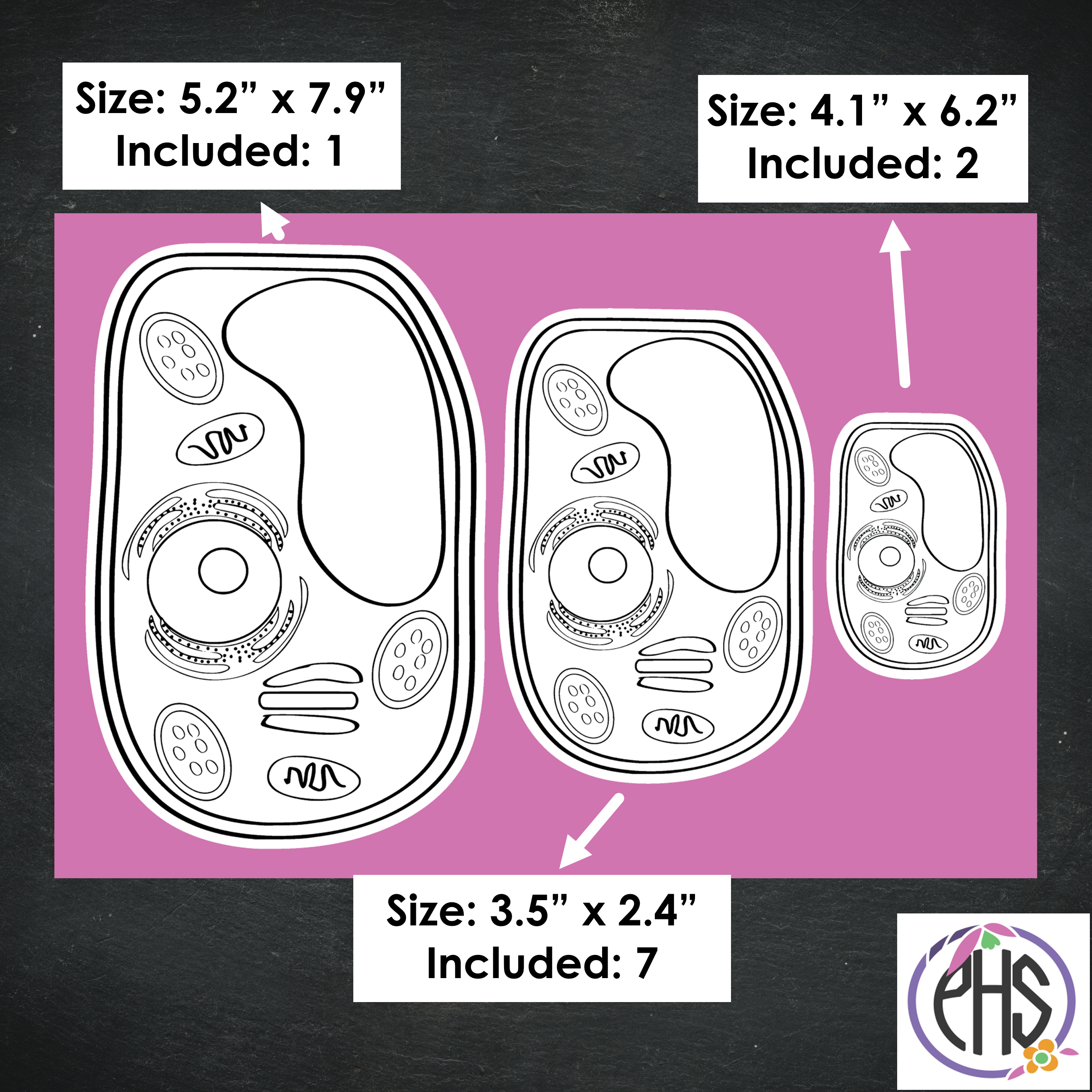 Black and White Plant Cell Stickers