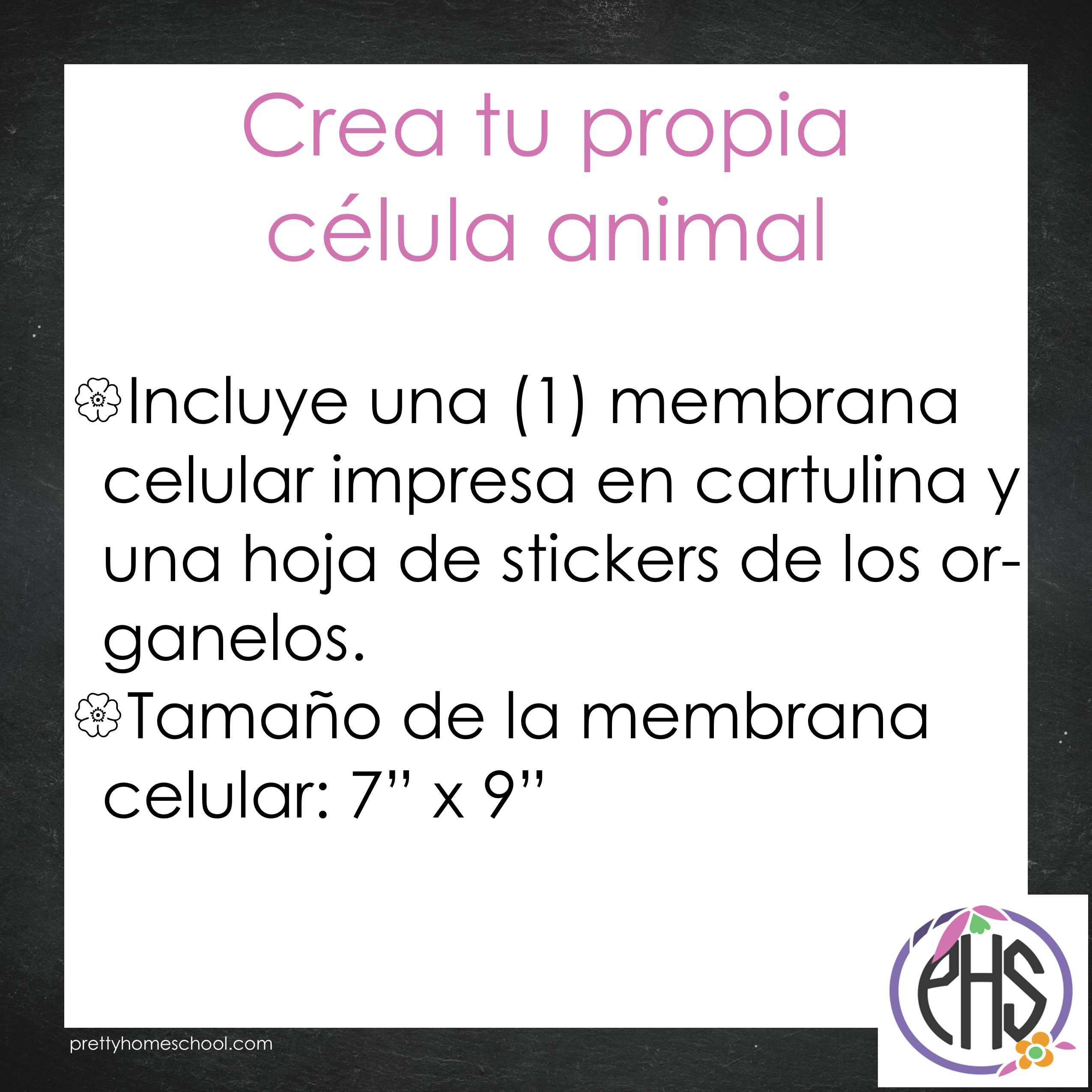 Crea tu célula animal - Atividad de biología