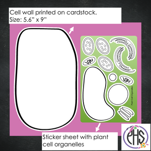 Build Your Plant Cell - Homeschool Biology Activity