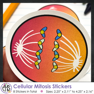 Cellular Mitosis Stickers / Color