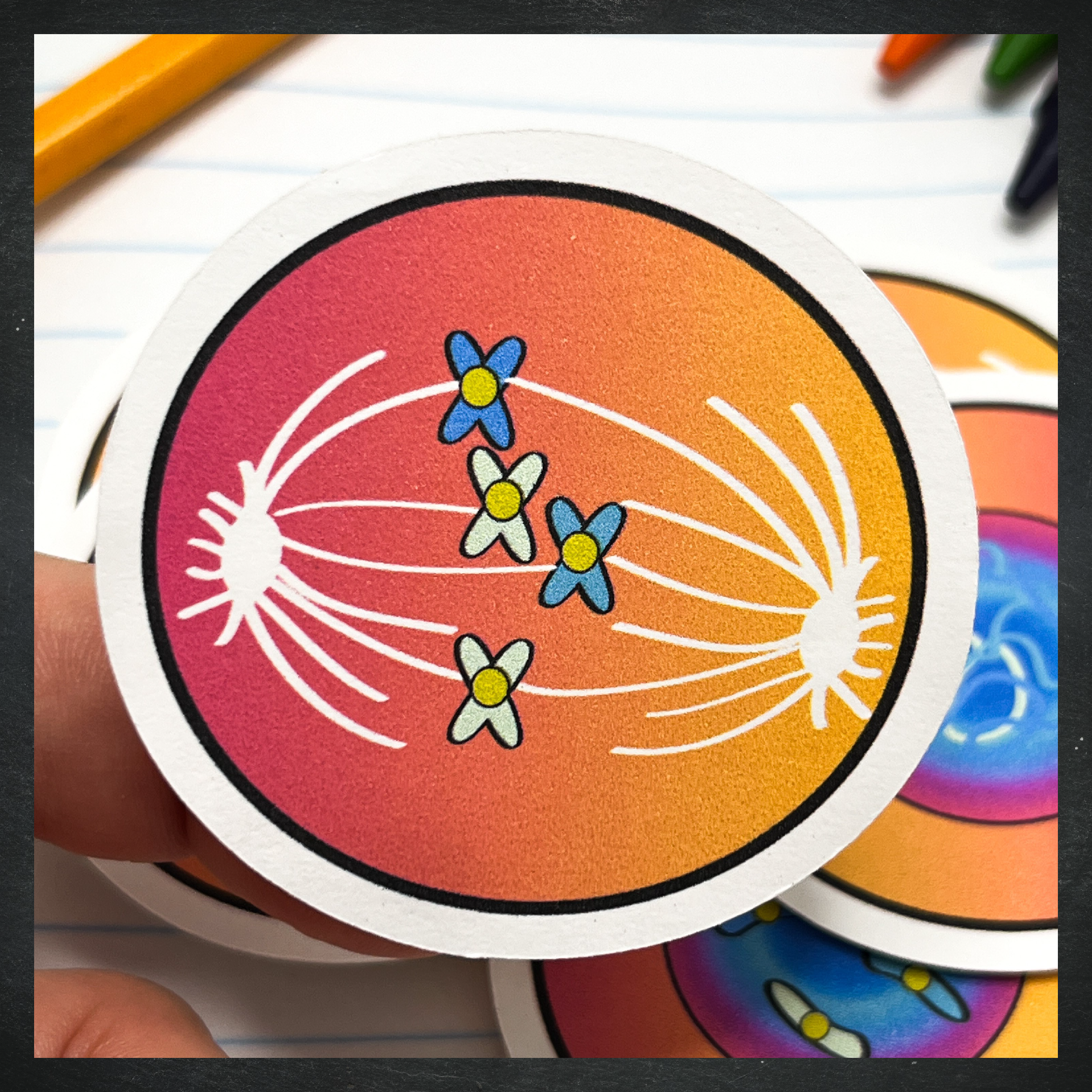 Cellular Mitosis Stickers / Color