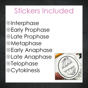 Cellular Mitosis Stickers / B & W