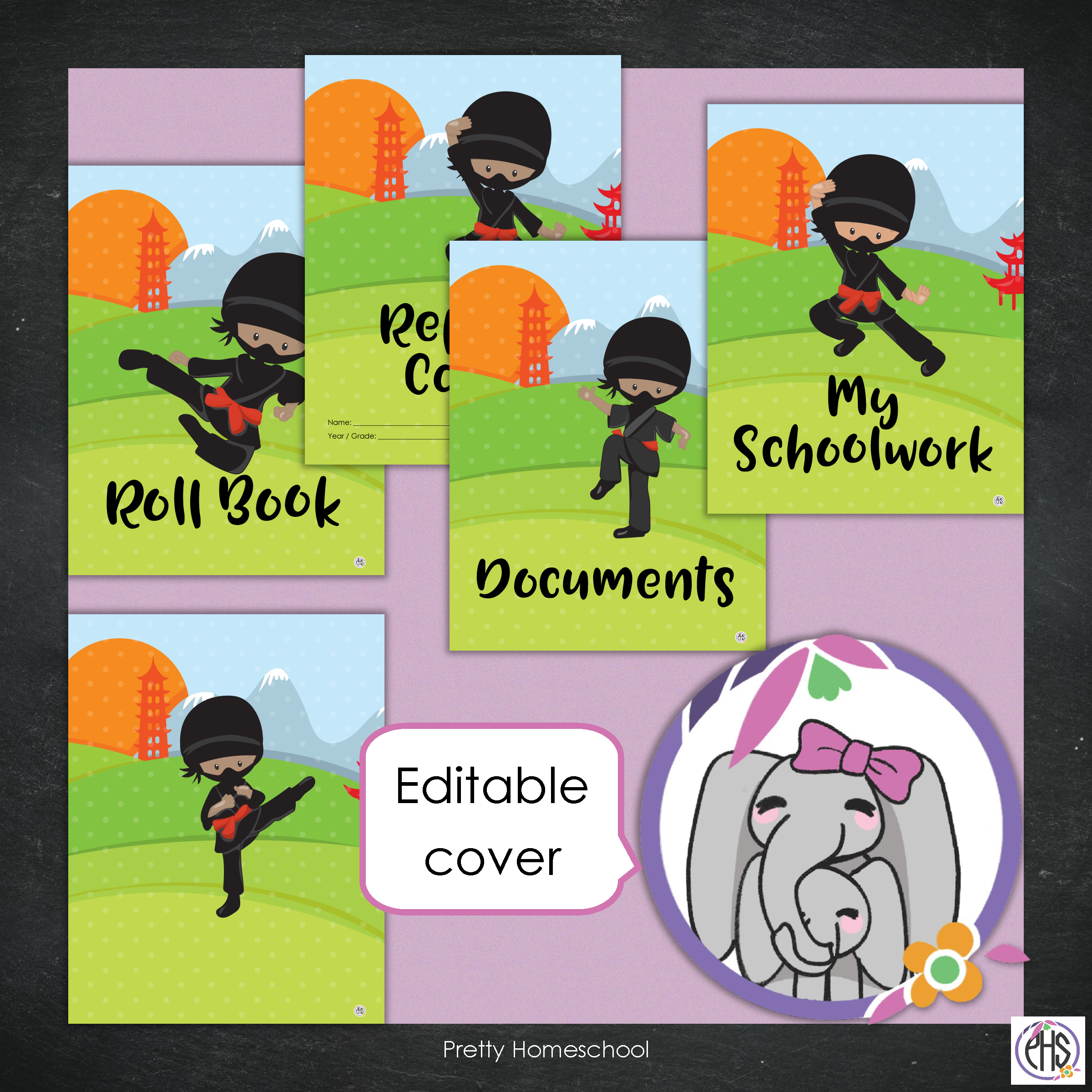Printable Homeschool Portfolio | End-of-the-Year Homeschool Binder | Ninja Theme