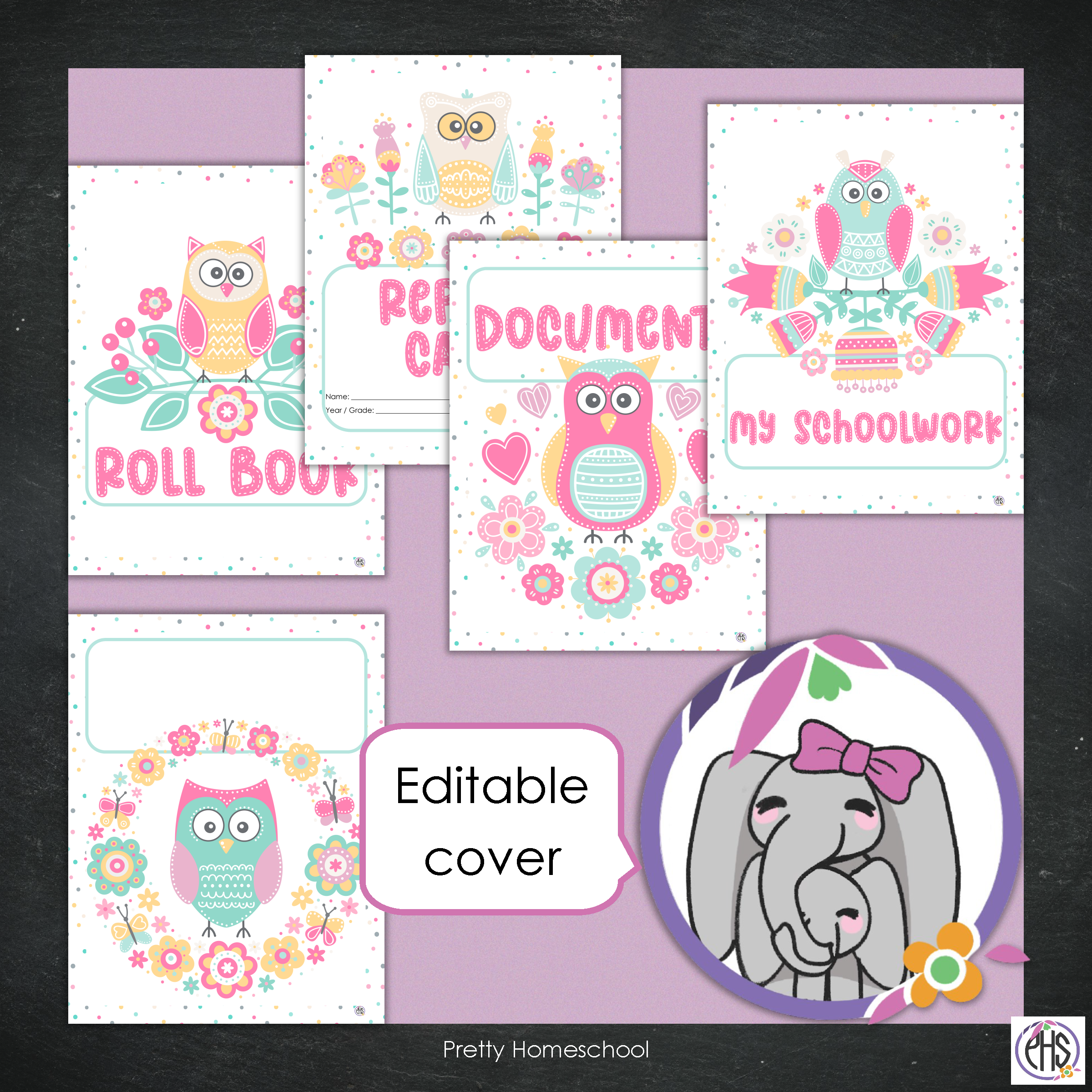 Printable Homeschool Portfolio | End-of-the-Year Homeschool Binder | Owls and Flowers Theme
