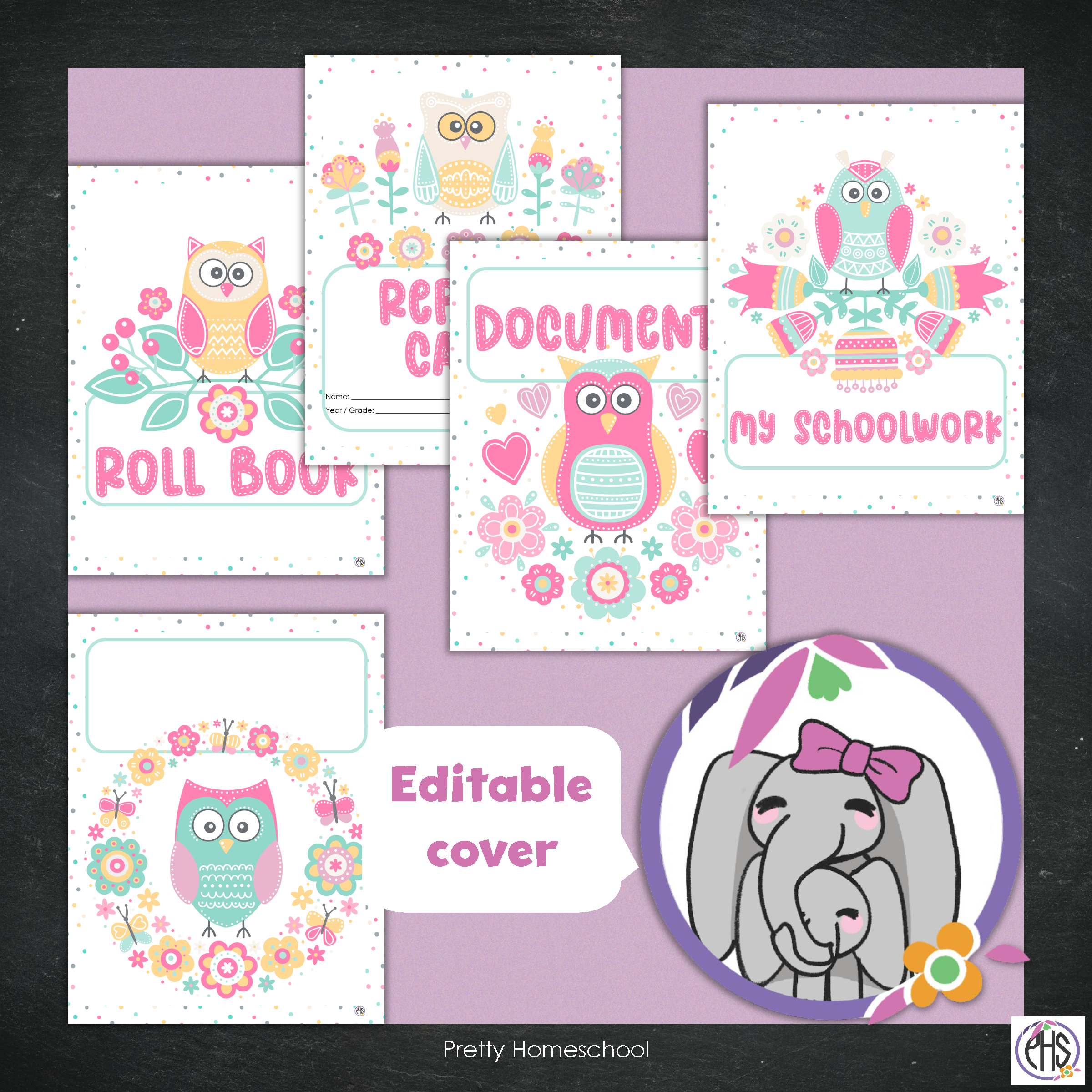 Printable Homeschool Portfolio 2025–2026 | End-of-Year Homeschool Binder | Homeschool Record Keeping