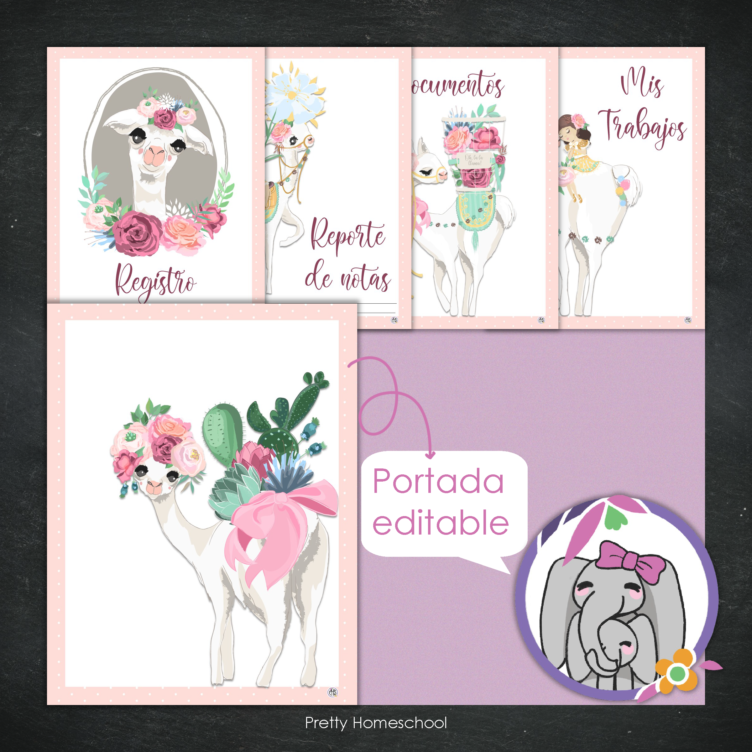 Portafolio Homeschooler 2025–2026 – Llama (Digital SOLAMENTE)