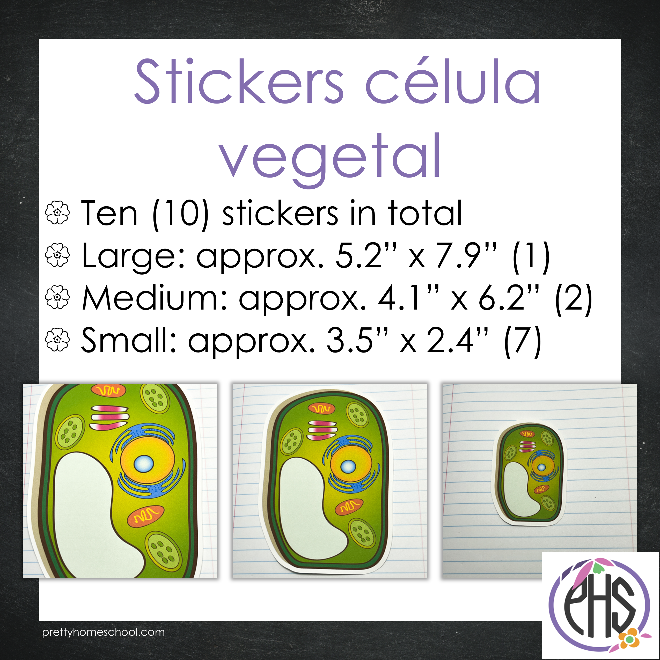 Stickers célula vegetal / Color