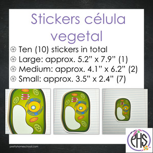 Stickers célula vegetal / Color