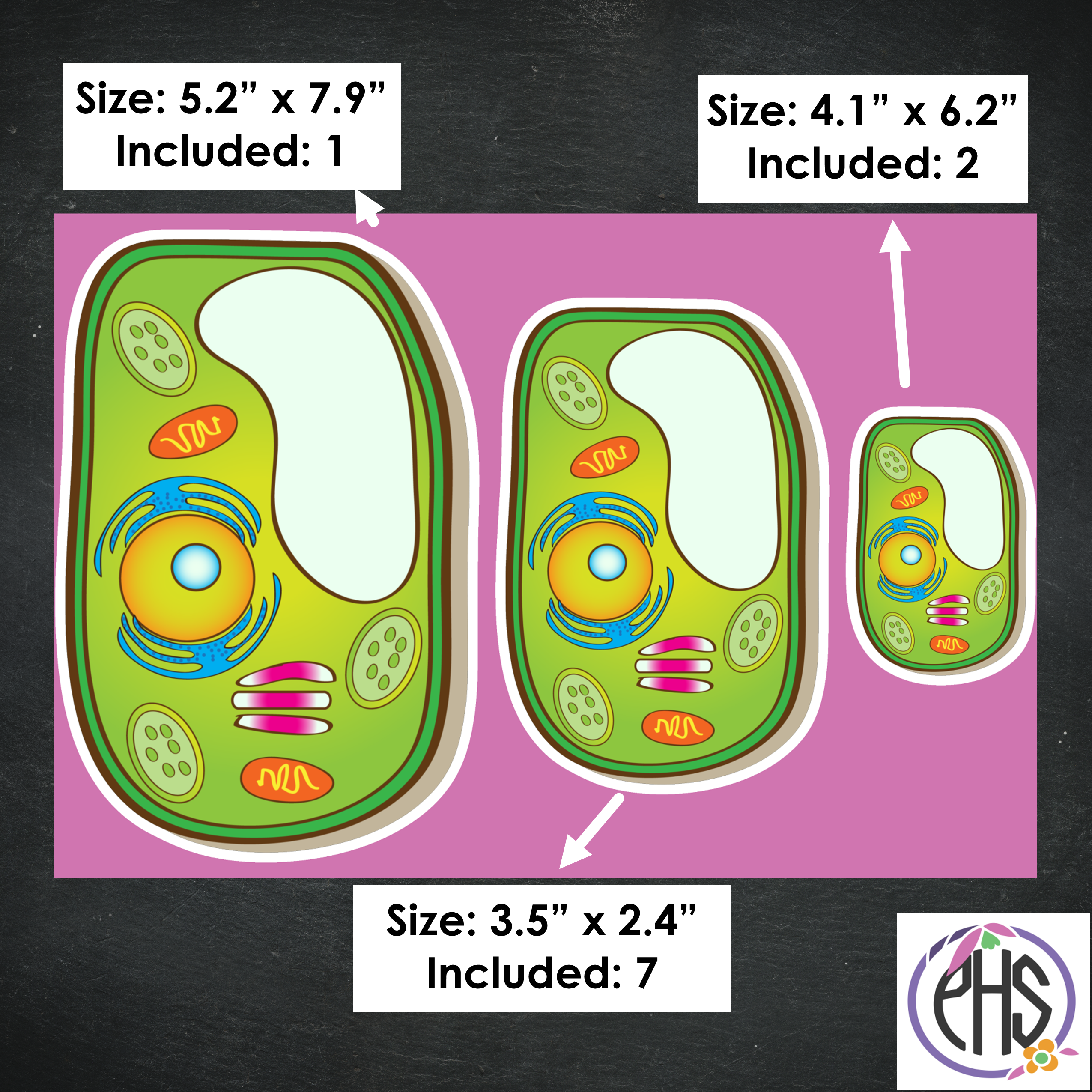 Plant Cell Stickers