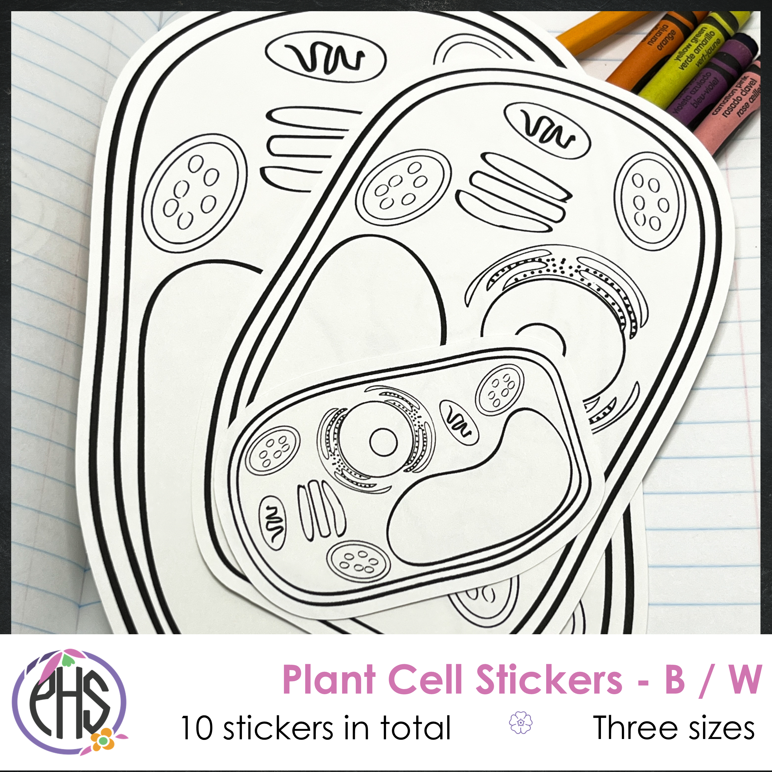 Black and White Plant Cell Stickers