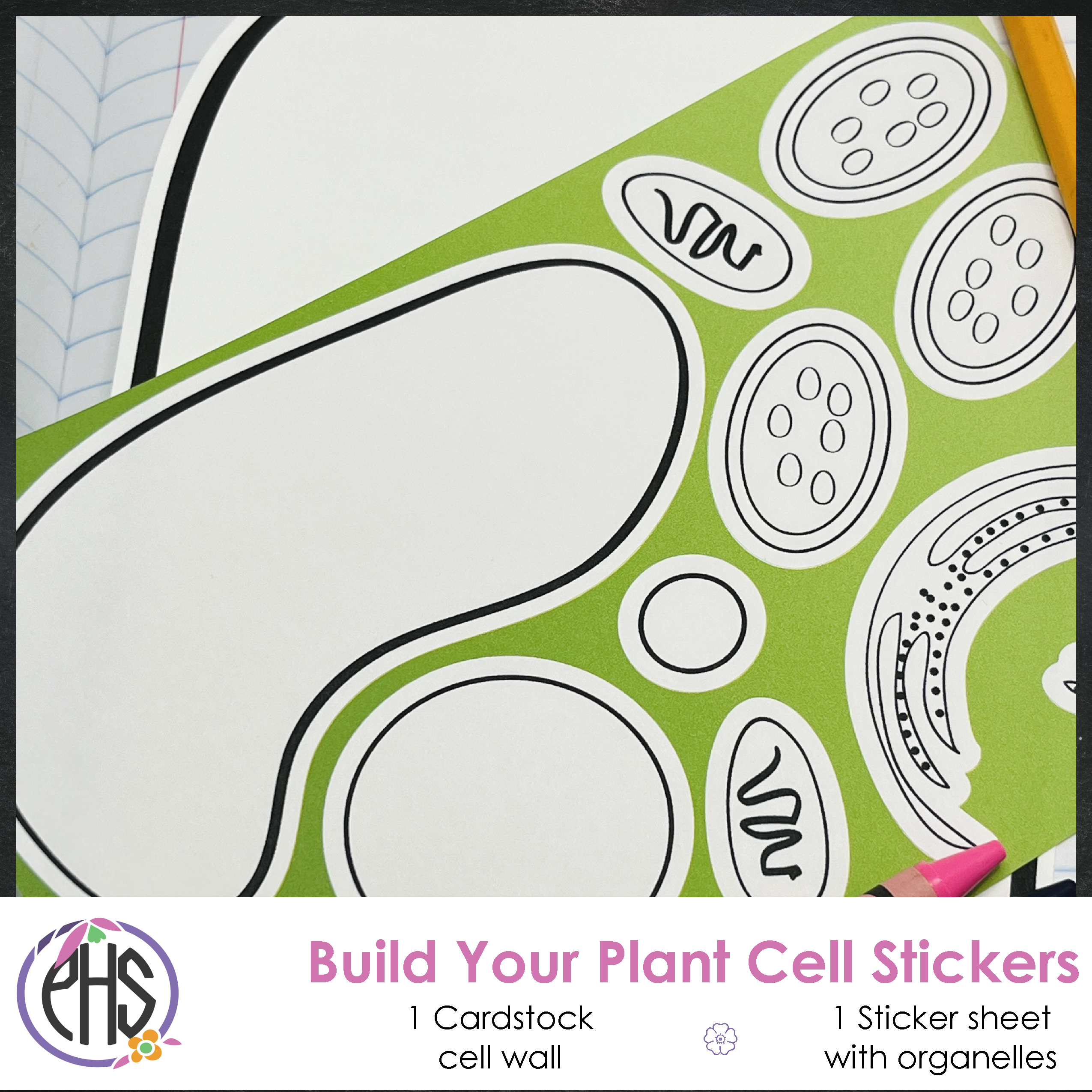 Build Your Plant Cell - Homeschool Biology Activity