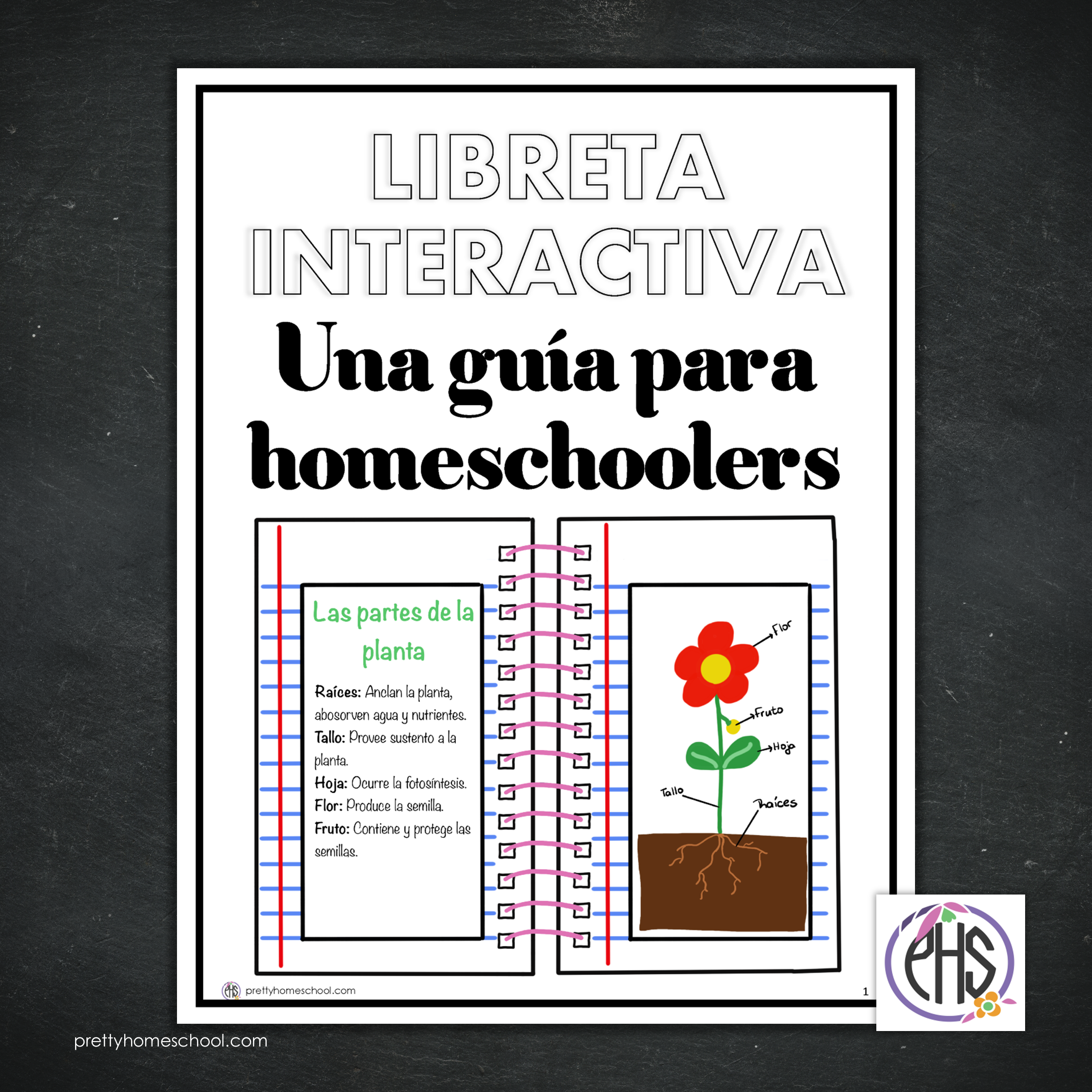 Libreta interactiva - Una guía para homeschoolers Freebie