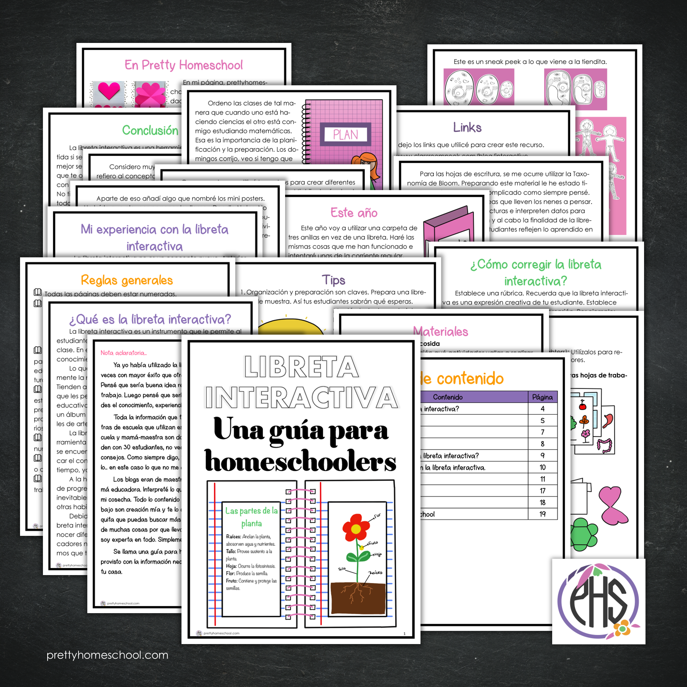 Libreta interactiva - Una guía para homeschoolers Freebie