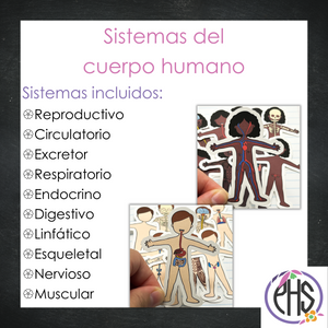 Stickers: Sistemas del cuerpo humano