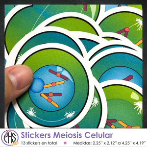 Stickers Meiosis Celular - Color