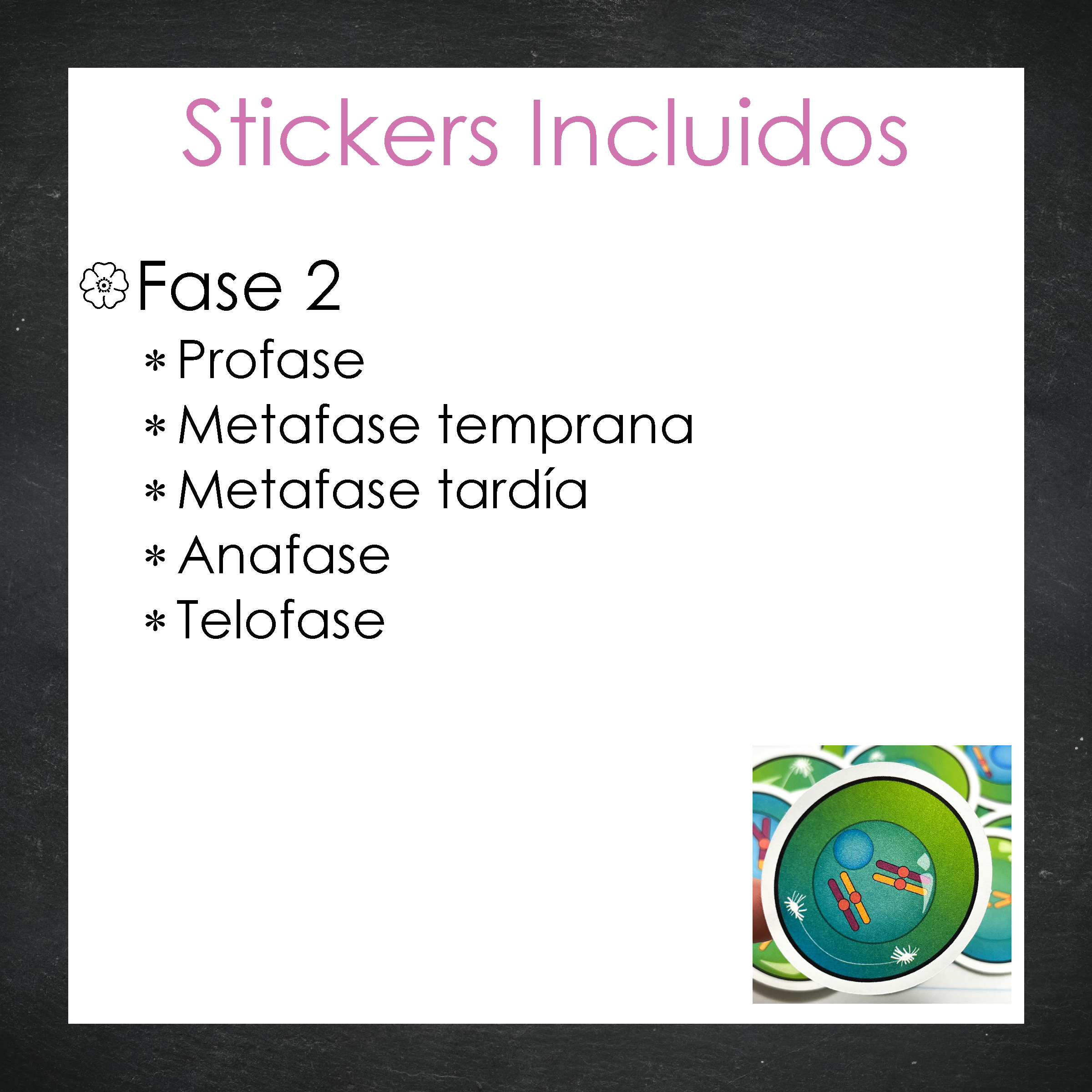 Stickers Meiosis Celular - Color