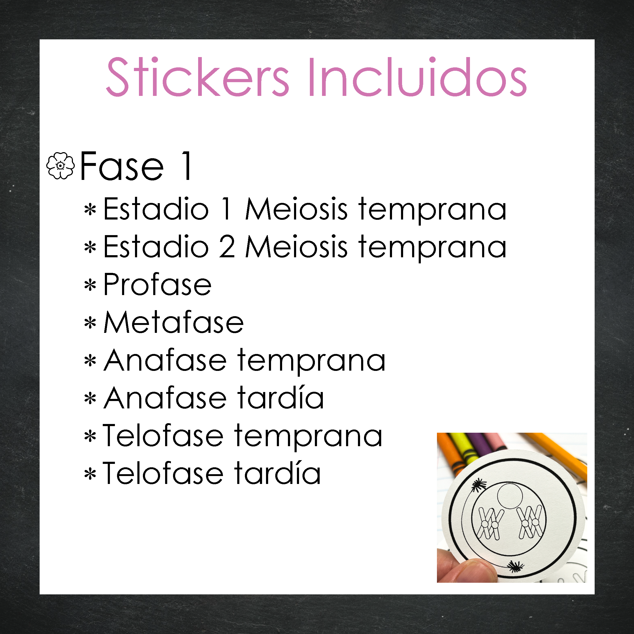 Stickers Meiosis Celular - B/N