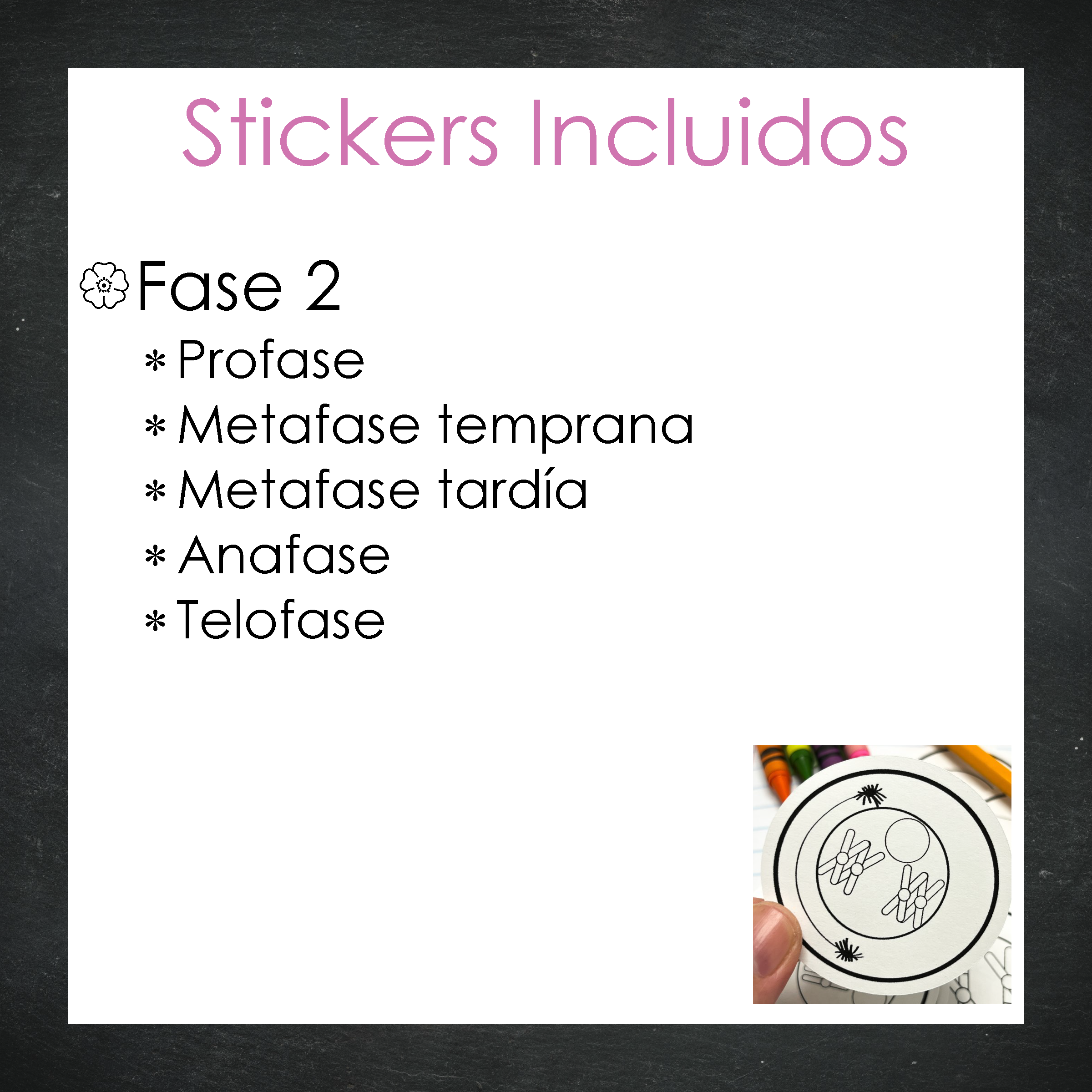 Stickers Meiosis Celular - B/N