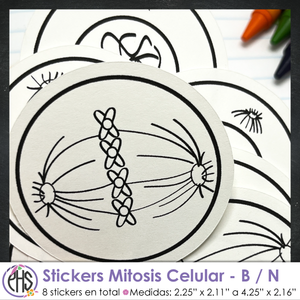 Stickers Mitosis Celular - B/N