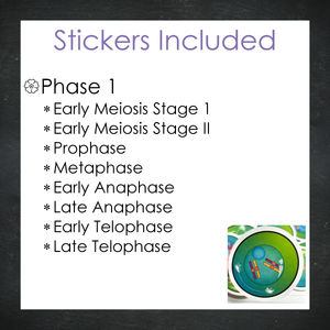 Cellular Meiosis Stickers / Color