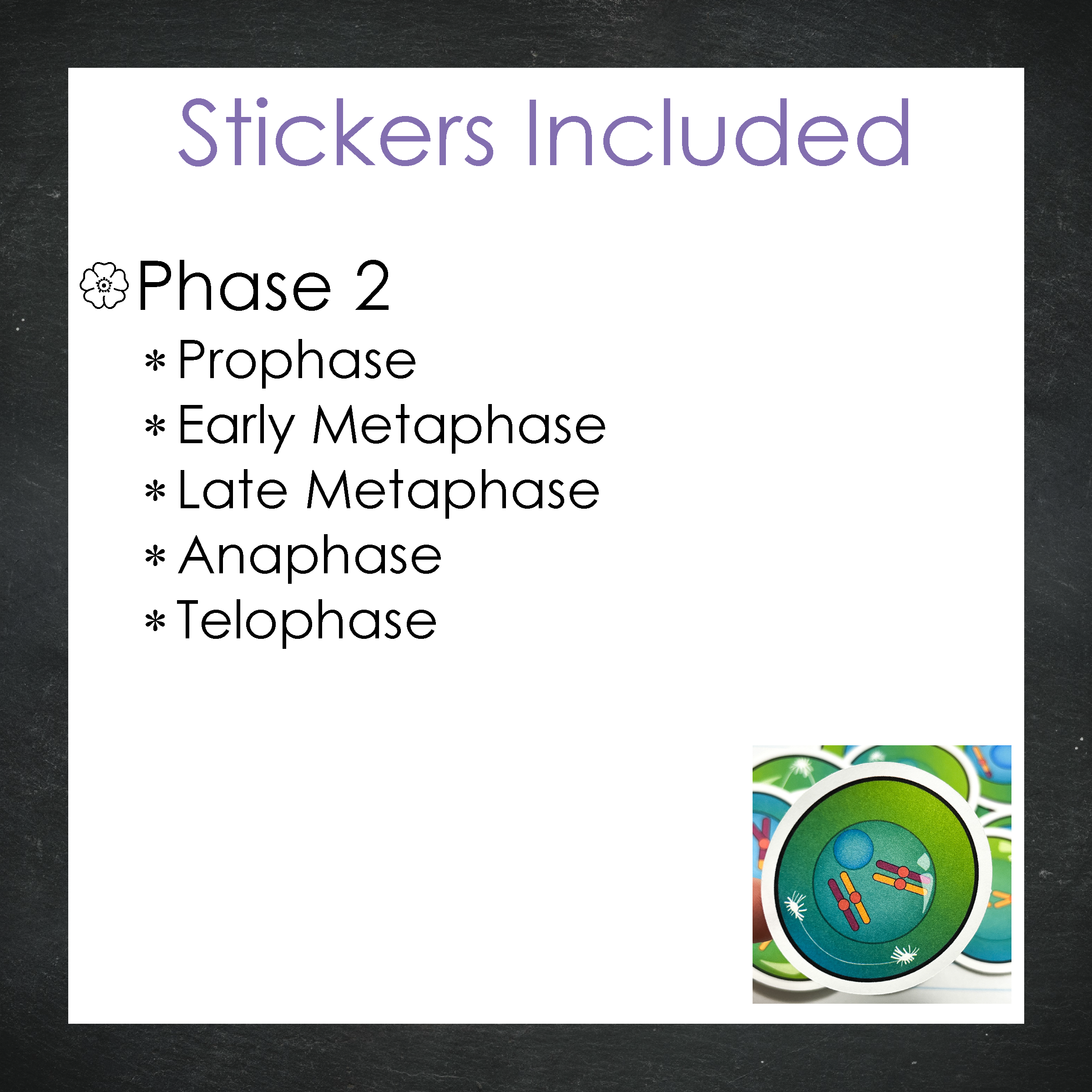 Cellular Meiosis Stickers / Color