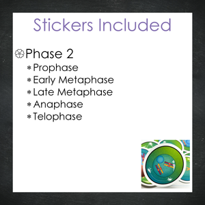 Cellular Meiosis Stickers / Color