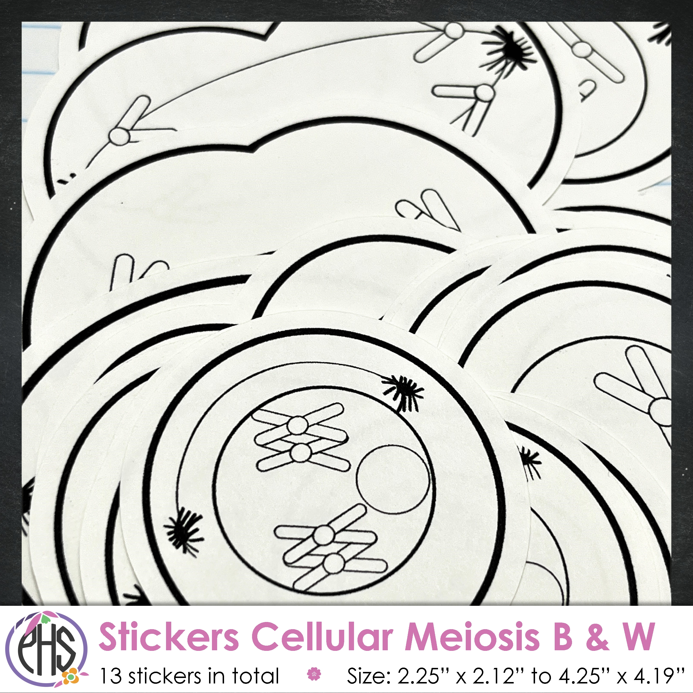 Cellular Meiosis Stickers / B & W