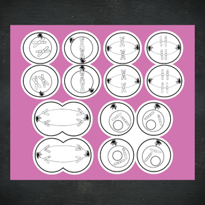 Cellular Meiosis Stickers / B & W